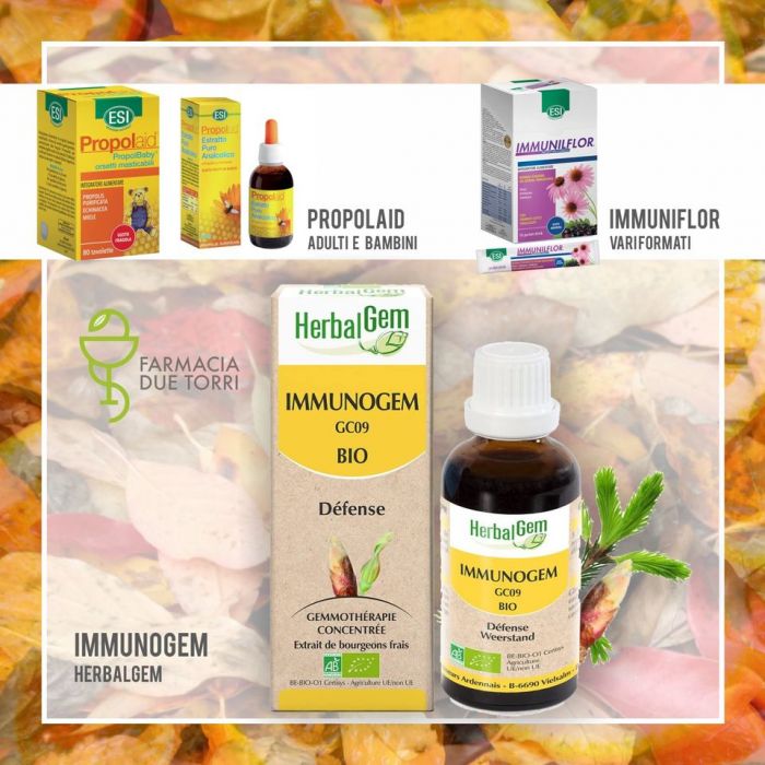 GRAZIA Roverbella foto 3