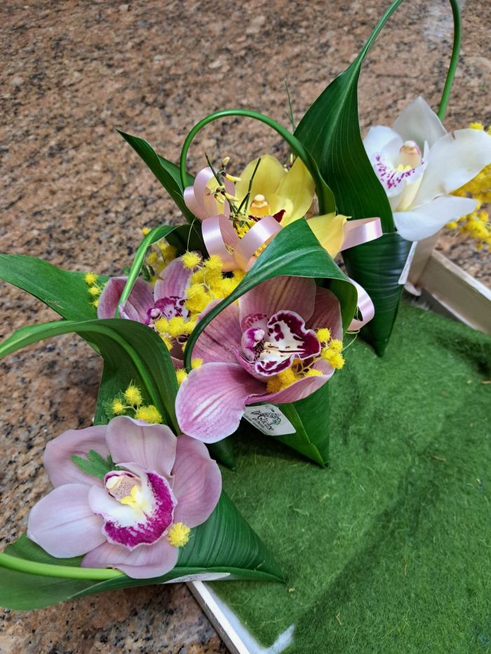 DANIELA Grosseto foto 1