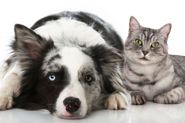 BARBARA Cumiana foto 1