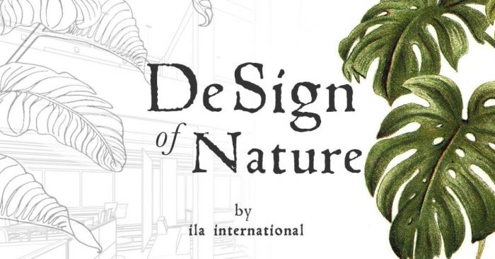 Antonio Zanica foto 1