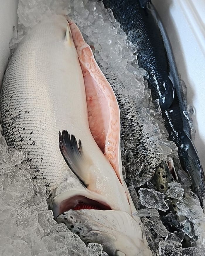 FRANCESCO Taurianova foto 6